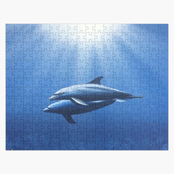 Miami Dolphins puzzle tin