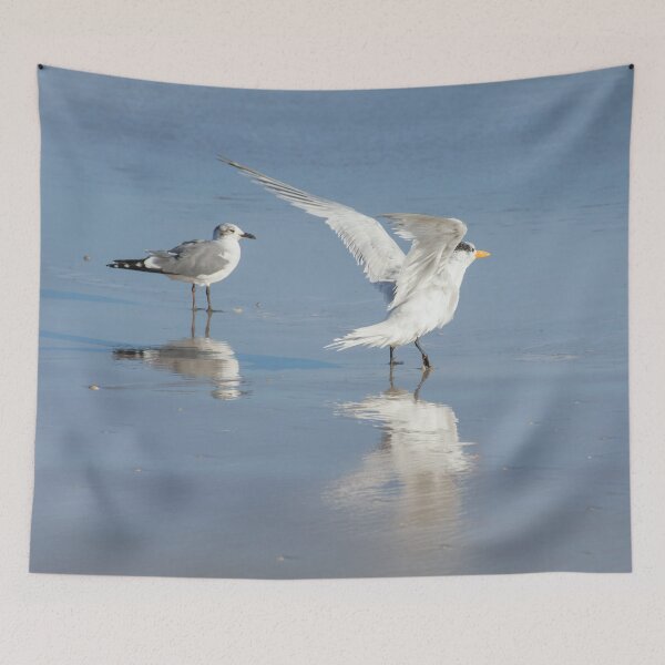 Item preview, Two seagulls in Florida beach designed and sold by Zina Stromberg.