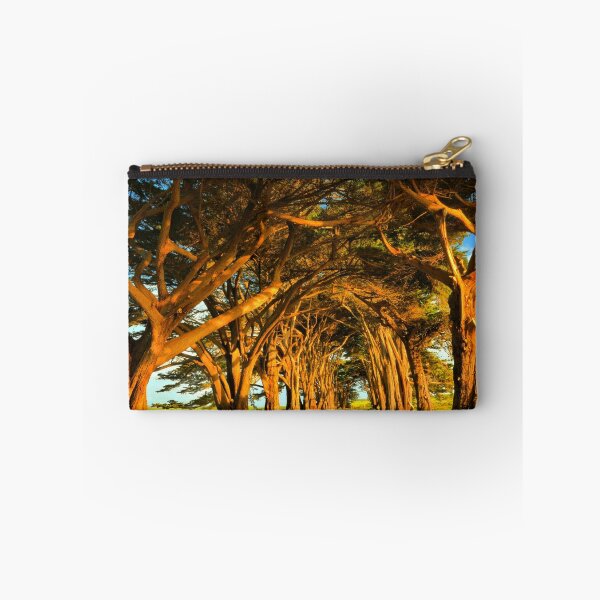 Item preview, Cypress Tunnel Sunset Glow designed and sold by Adam Jewell.