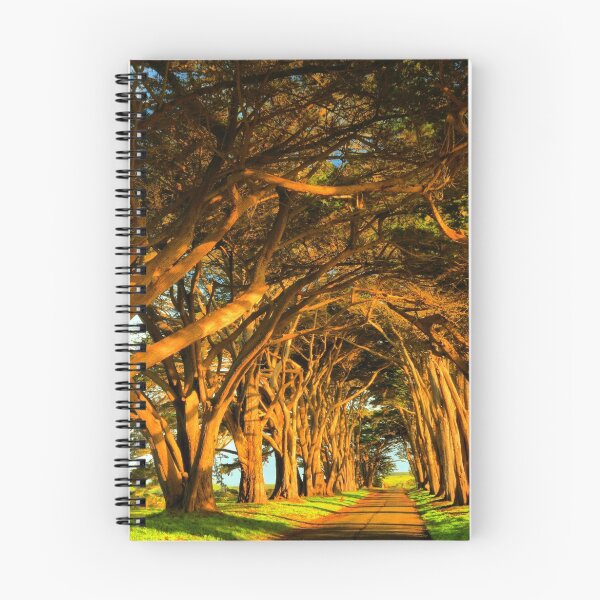 Item preview, Cypress Tunnel Sunset Glow designed and sold by Adam Jewell.