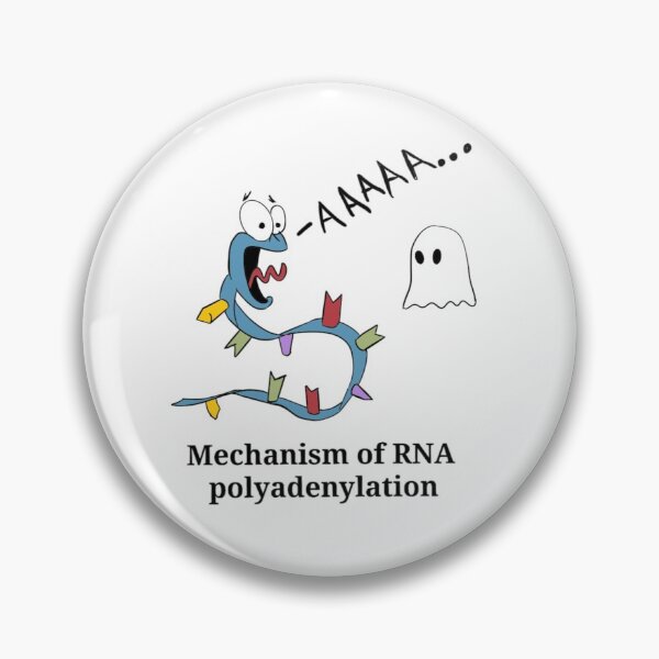 Item preview, Mechanism of RNA polyadenylation designed and sold by Science Lab Designs.