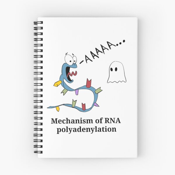 Item preview, Mechanism of RNA polyadenylation designed and sold by Science Lab Designs.