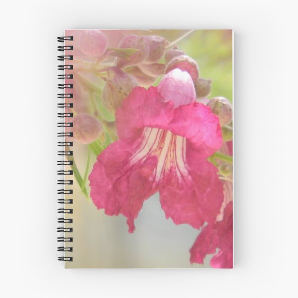Item preview, Desert Willow Bloom, Flor de mimbre designed and sold by Navigator.