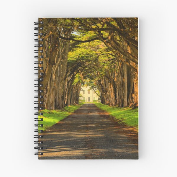 Item preview, Cypress Tunnel Afternoon Glow designed and sold by Adam Jewell.