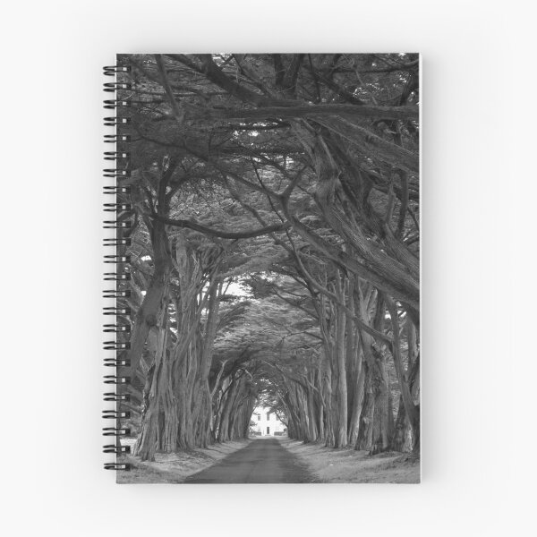 Item preview, Point Reyes Black And White Cypress Tunnel designed and sold by Adam Jewell.
