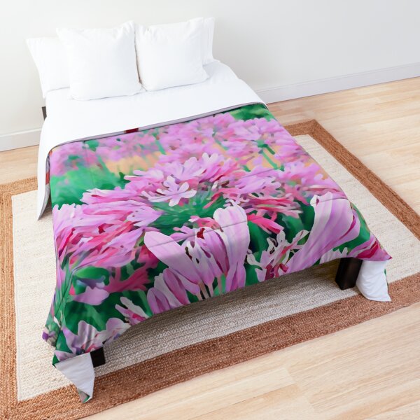 Agapanthus - Five Comforter