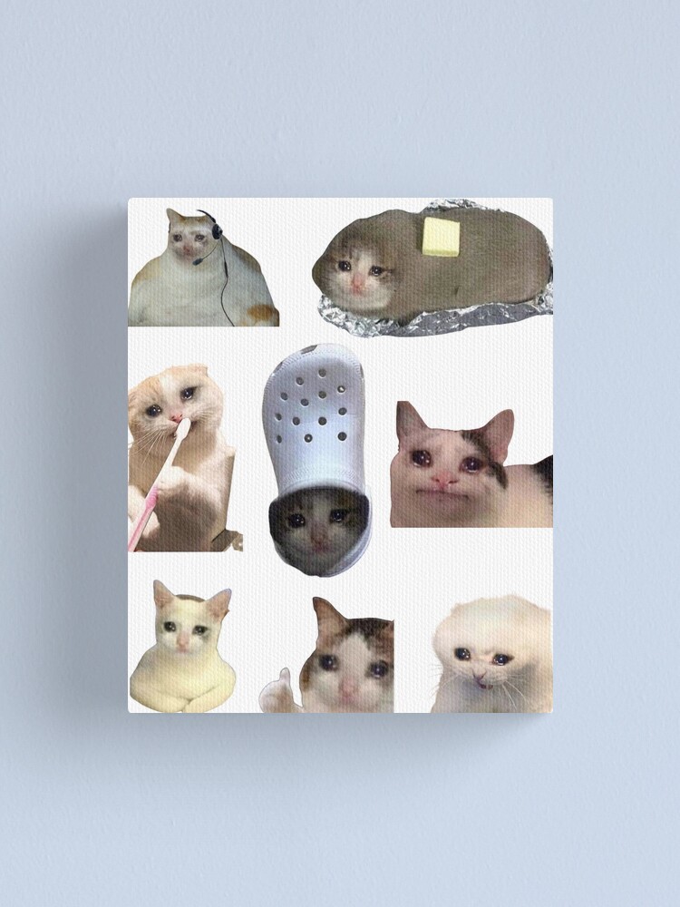 An image of the classic crying cat meme printed on anything you want to  purchase:). Thank you, money goes towards colleg…