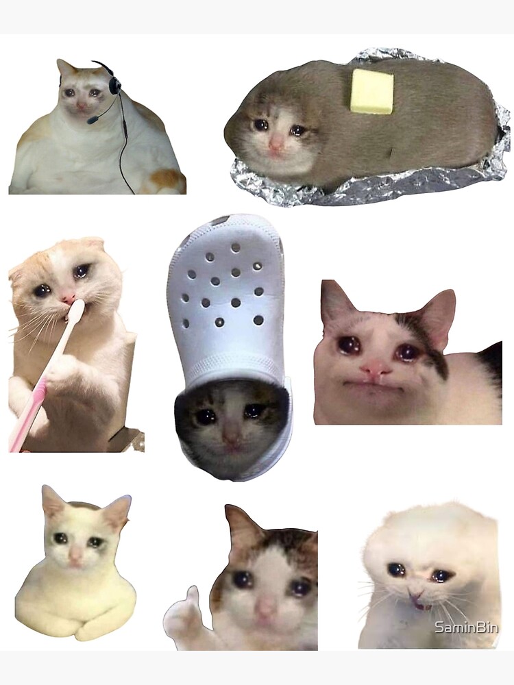 Petition · Bring back the r/memes crying cat logo ·