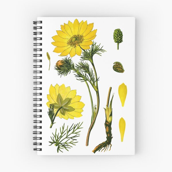 Item preview, spring adonis designed and sold by Alexander Magnus.