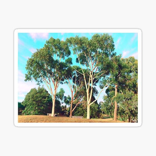 Australian Gum Trees - Three Sticker