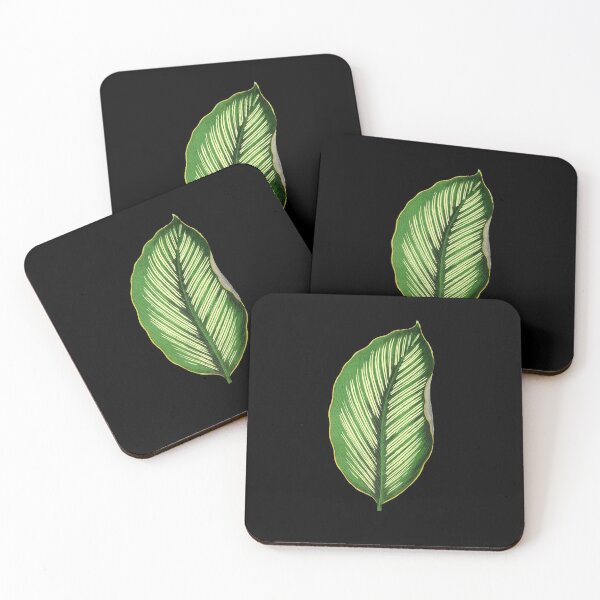 Item preview, Calathea Ornata Beauty Star - Rothschild designed and sold by chimakingthings.