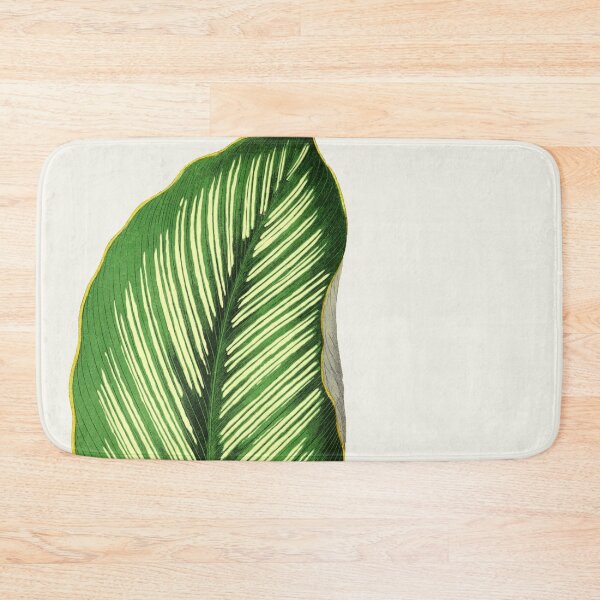 Item preview, Calathea Ornata Beauty Star - Rothschild designed and sold by chimakingthings.