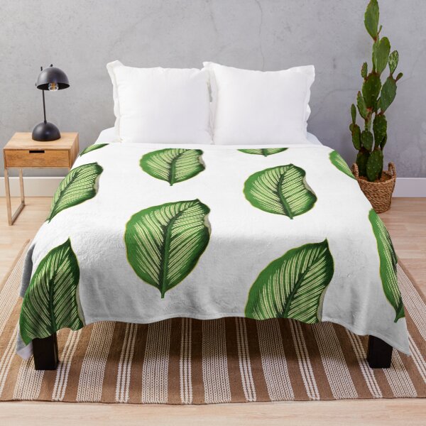 Item preview, Calathea Ornata Beauty Star - Rothschild designed and sold by chimakingthings.
