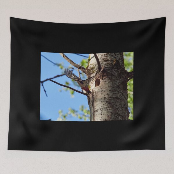 Item preview, Busy time of  the year. Great spotted woodpecker designed and sold by Jouko Lehto Photography.