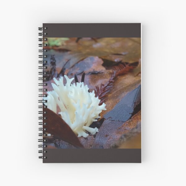 The Forest Floor . Fairy Fingers Spiral Notebook