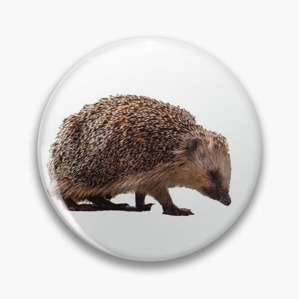Artikelvorschau, Igel entworfen und verkauft von Ingo Gerlach.