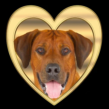 Artwork thumbnail, Rhodesian Ridgeback Tshirt Rhodesian Ridgeback Dog Shirt Tee by KDesigns85