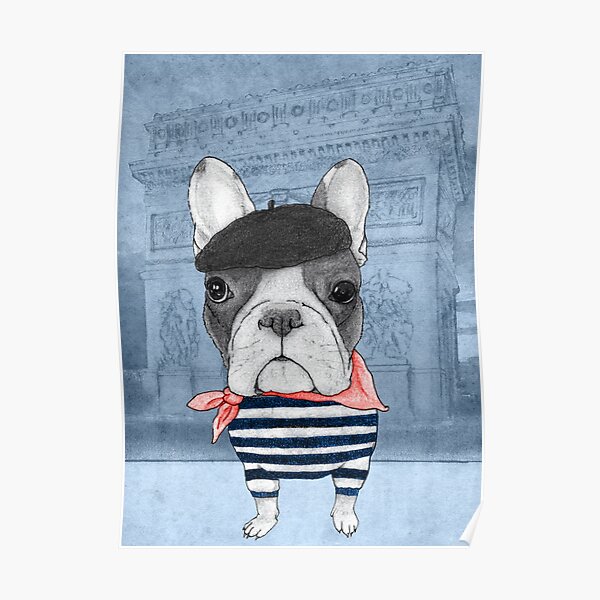 Perro Posters Redbubble