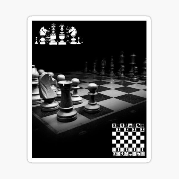 Chess Sticker