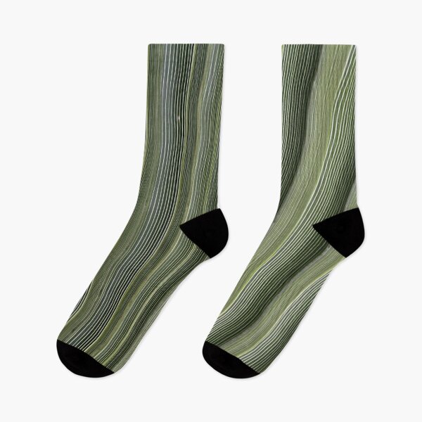 Item preview, Close Up Photographic Abstract Of Ruffled Fan Palm designed and sold by taiche.