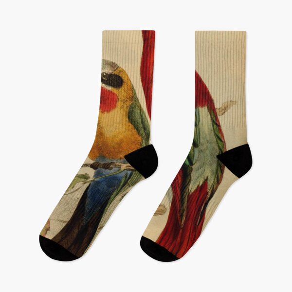 Item preview, Southern And White-Fronted Bee Eaters designed and sold by laguitan10.
