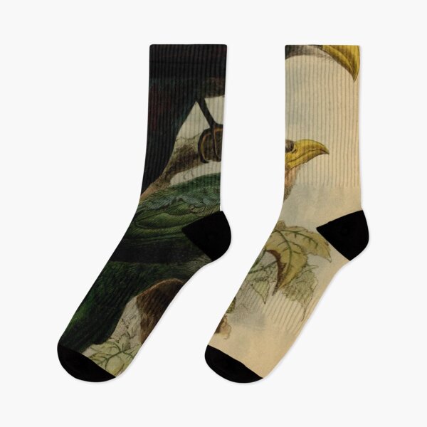 Item preview, Whistling Yellowbill And Blue Malkoha designed and sold by laguitan10.