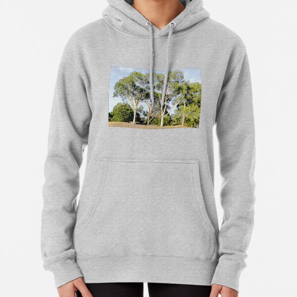 Australian Gum Trees - Seven Pullover Hoodie