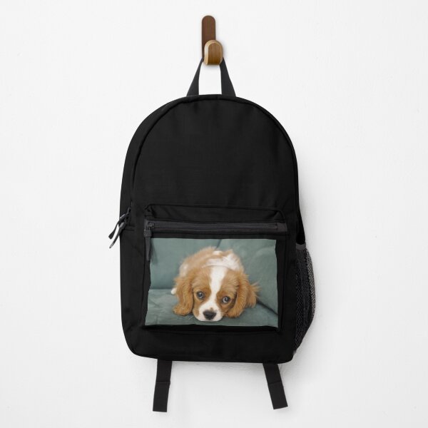Item preview, Cavalier King Charles Spaniel puppy designed and sold by Colourful-Dinos.