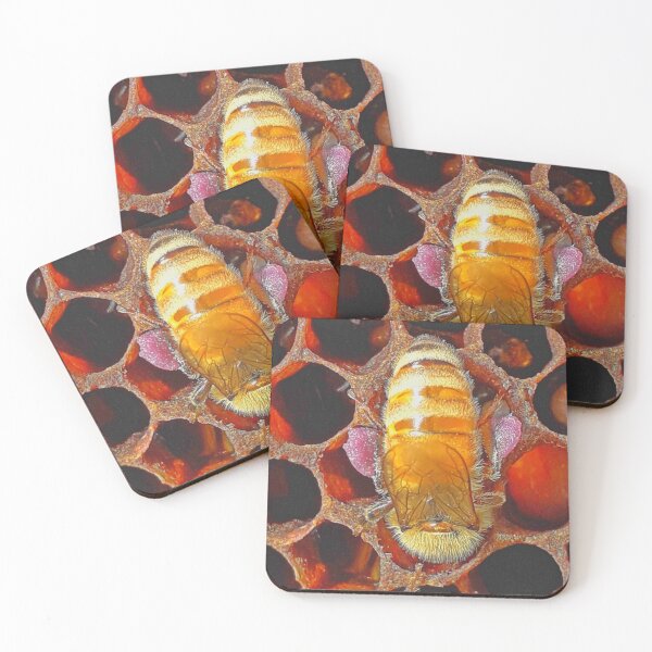 Item preview, Worker bee with pink pollen on legs, head in comb. designed and sold by slowboy.