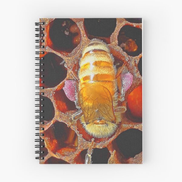 Item preview, Worker bee with pink pollen on legs, head in comb. designed and sold by slowboy.