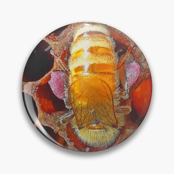 Item preview, Worker bee with pink pollen on legs, head in comb. designed and sold by slowboy.