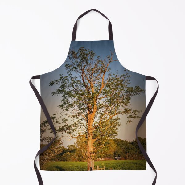 Item preview, Evening Light designed and sold by JEZ22.