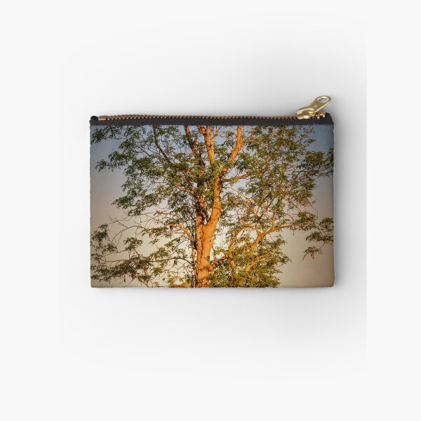 Item preview, Evening Light designed and sold by JEZ22.