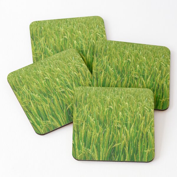Item preview, Paddy Field designed and sold by Tim Paulawitz.