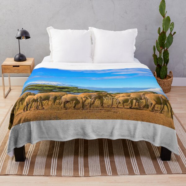 Item preview, Mount Kenya landscape in Mount Kenya National Park designed and sold by RICO ANIMATIONS.