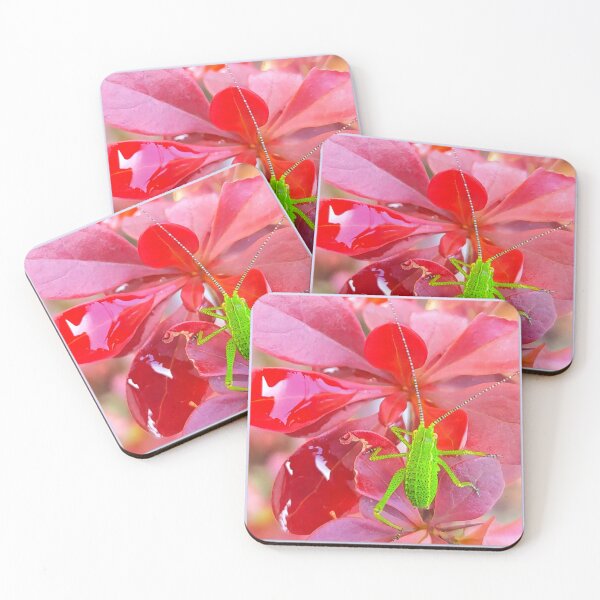 Item preview, Bush cricket on berberis designed and sold by angel1.