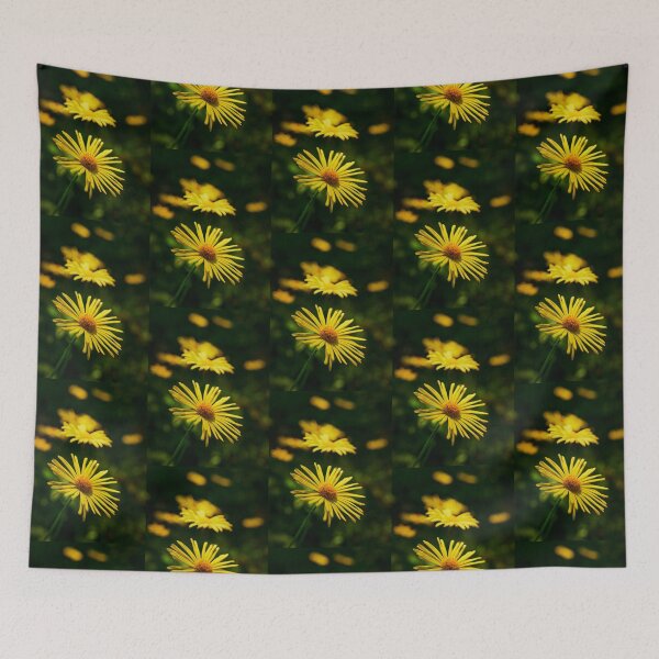 Item preview, Something is tickling. Leopard's bane designed and sold by Jouko Lehto Photography.