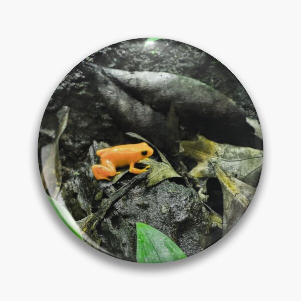 Item preview, Golden Mantella Frog designed and sold by DiddyH.