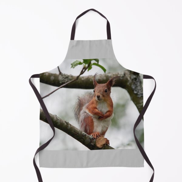 Item preview, On a windy day and between the dresses. Eurasian red squirrel designed and sold by Jouko Lehto Photography.