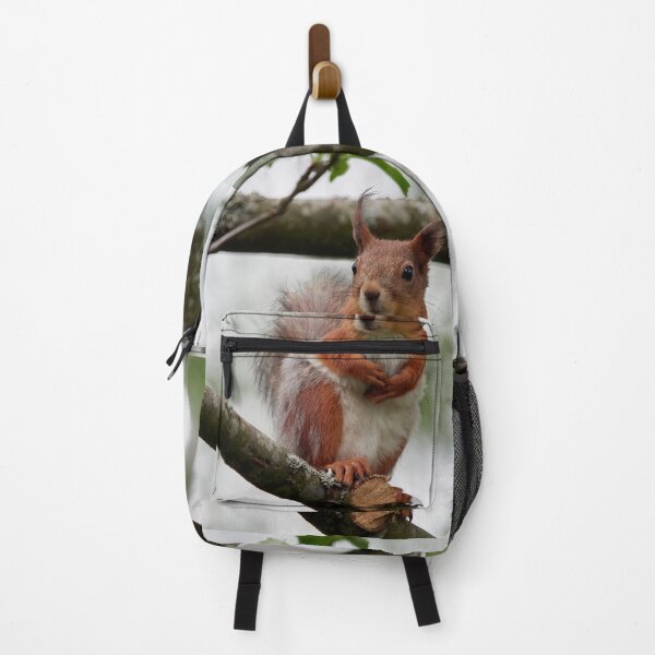 Item preview, On a windy day and between the dresses. Eurasian red squirrel designed and sold by Jouko Lehto Photography.