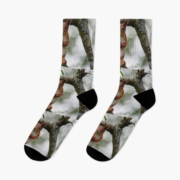 Item preview, On a windy day and between the dresses. Eurasian red squirrel designed and sold by Jouko Lehto Photography.