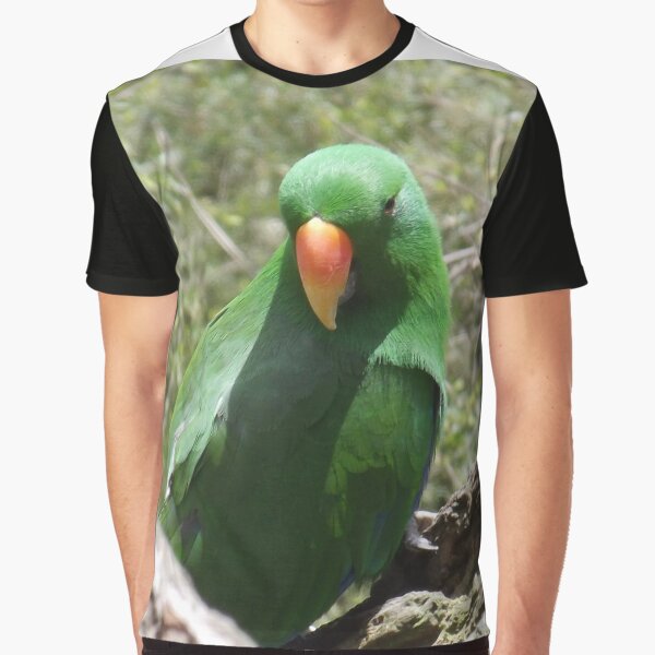 Green Parrot Resting Graphic T-Shirt