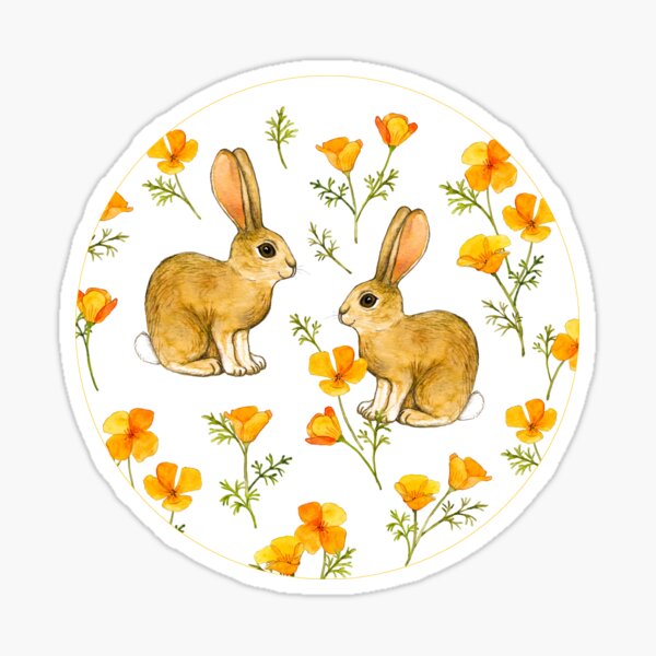 California Poppies and Cottontail Bunnies on White Sticker