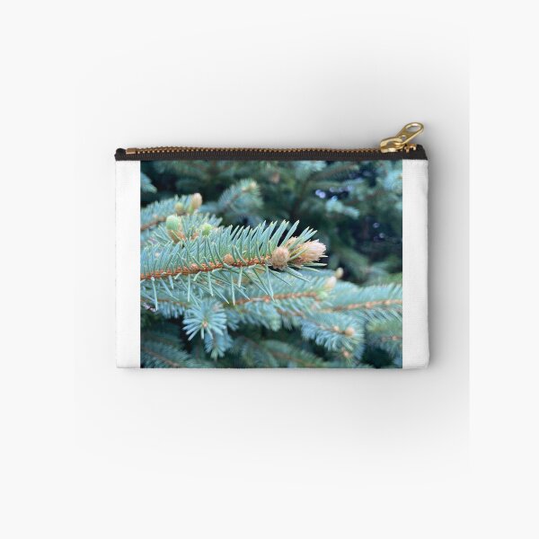 Item preview, Photo of the blue spruce in the front yard designed and sold by cariekelleher.