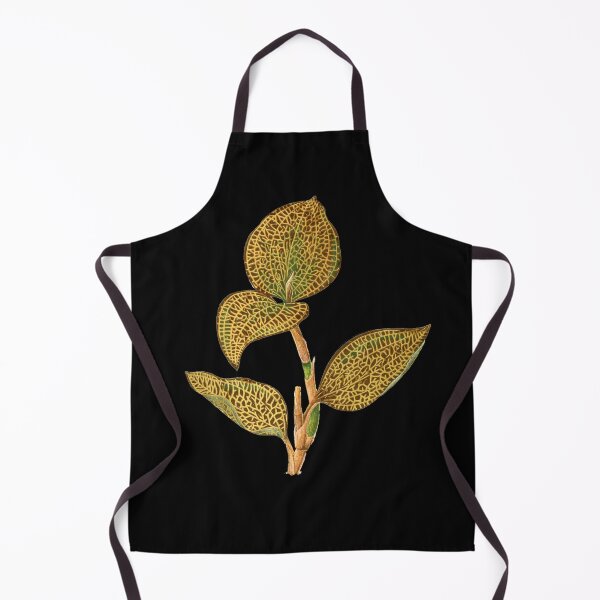 Item preview, Jewel Orchid - Anoectochilus setaceus - Rothschild designed and sold by chimakingthings.