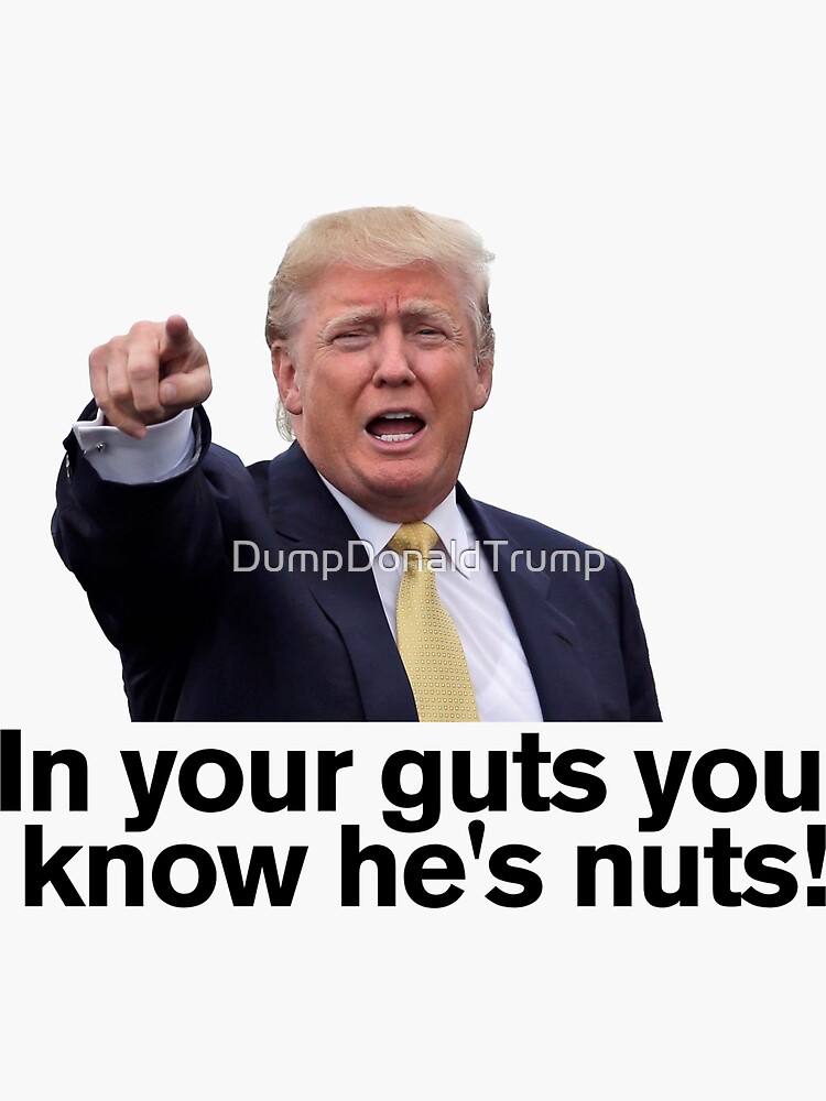Trump In Your Guts You Know He S Nuts Sticker By Dumpdonaldtrump