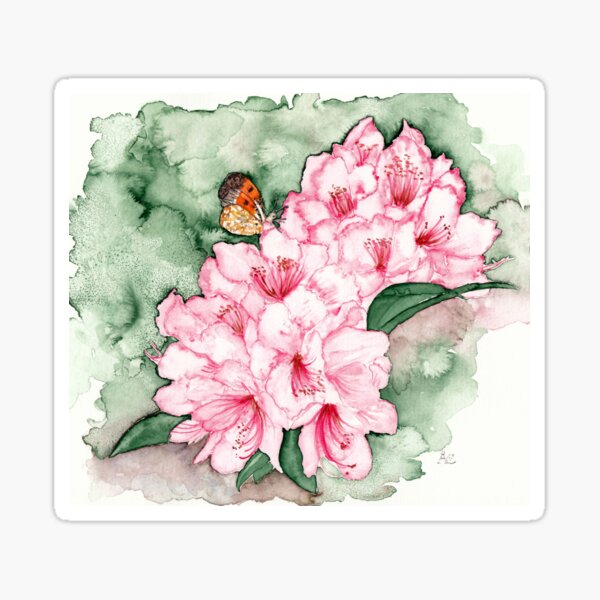 Rhododendron und Aurorafalte Sticker
