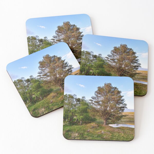 Item preview, Afternoon at Kelly Farm Tarn designed and sold by John Dunbar.