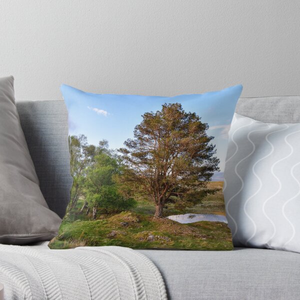 Item preview, Afternoon at Kelly Farm Tarn designed and sold by John Dunbar.