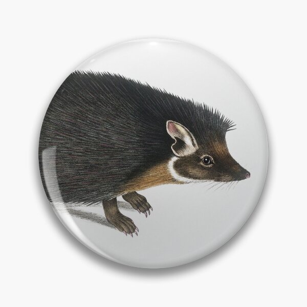 Item preview, Hedgehog illustration designed and sold by Vintage Designs +.